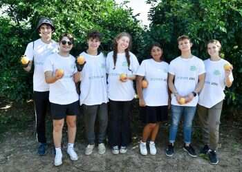 New year brings 32% increase in registrations for Masa Israel programs