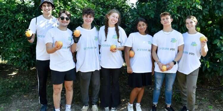 Masa fellows volunteering in Israel New year brings 32% increase in registrations for Masa Israel programs