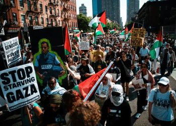 'Vegans for Palestine'? New York boycott campaign targets Israeli chef
