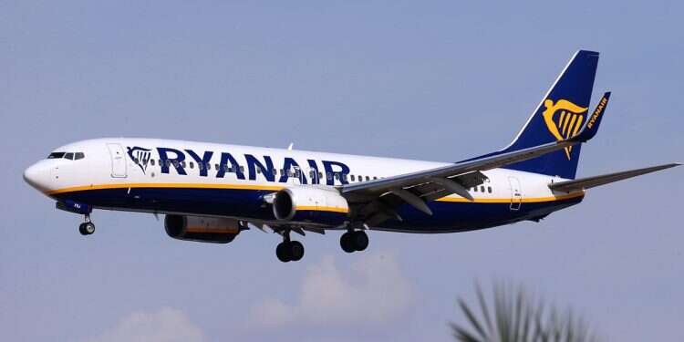 Ryanair halts Israel flights, says it's fed up with treatment