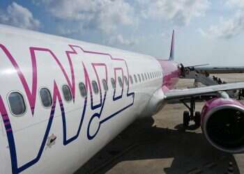 'You kill Palestinians': Israeli attacked by Wizz Air rep