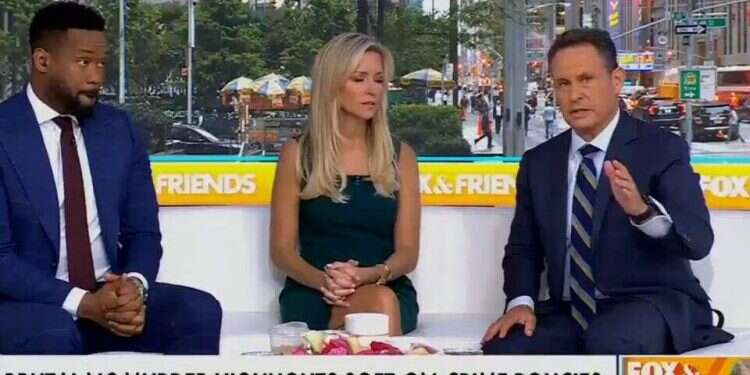 Fox News host floats 'forced lethal injection' on homeless