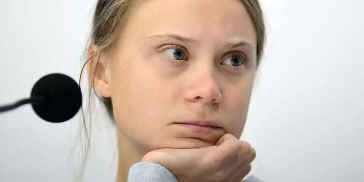 Two flotillas to Israel, none to Yemen. Thunberg. Photo: AFP This man begs Greta to sail to his country