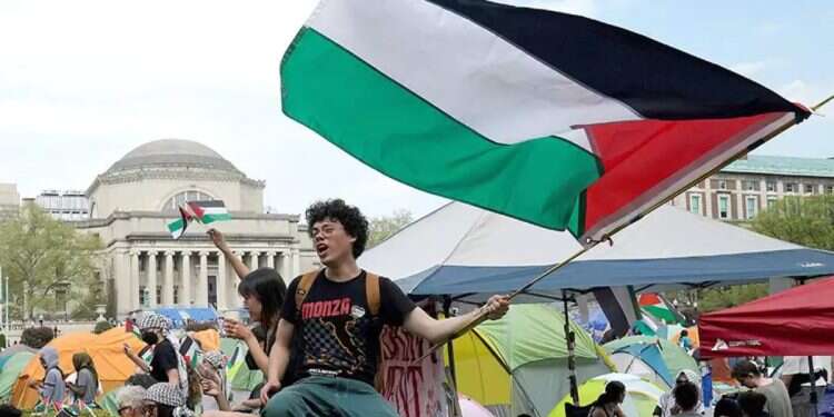 Damning report reveals scale of Arab donations that transformed US academia