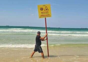 Shark prompts quick evacuation of Israeli beachgoers