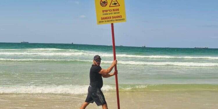 A sign posted at the Ashdod beach telling bathers to keep away on Friday, September 26, 2025 Shark prompts quick evacuation of Israeli beachgoers