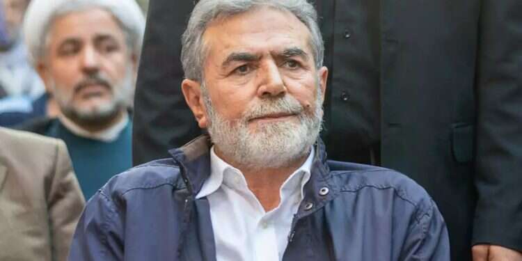 Islamic Jihad leader finds refuge in Egypt