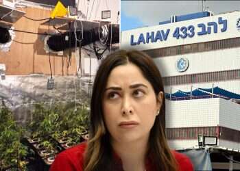 Police raid minister's office, marijuana plants found at aide's home