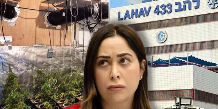 May Golan Police raid minister's office, marijuana plants found at aide's home