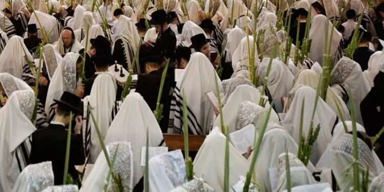 Sukkot. Photo: Reuters A temporary state on the road from Egypt to Jerusalem
