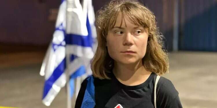 Greta Thunberg falsely blames Israel for killing 'Mr. FAFO'