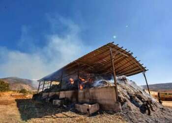 Unprecedented arson wave sparks milk shortage in Israel