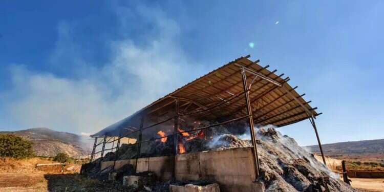 Hay barn fire in the Galilee caused by extortion. Photo: JINI/Ayal Margolin Unprecedented arson wave sparks milk shortage in Israel