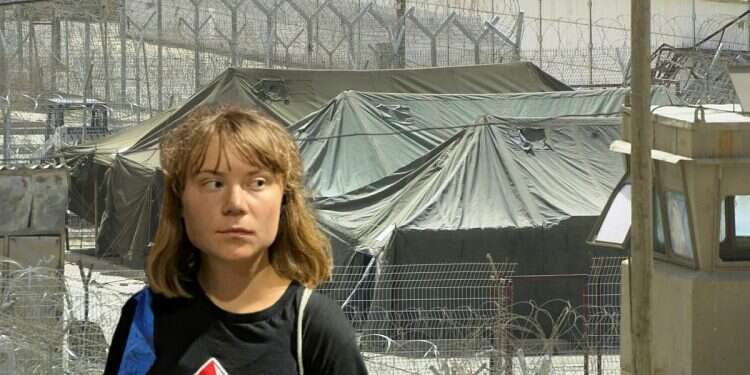 Swedish legal team prepares ICC fight over Greta imprisonment