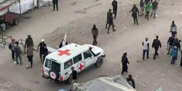 Red Cross vehicles inside the Gaza Strip. Photo: Reuters. All living hostages are back in Israel in good condition