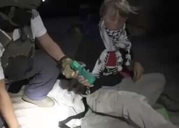 IDF intercepted Greta Thunberg's Gaza-bound flotilla