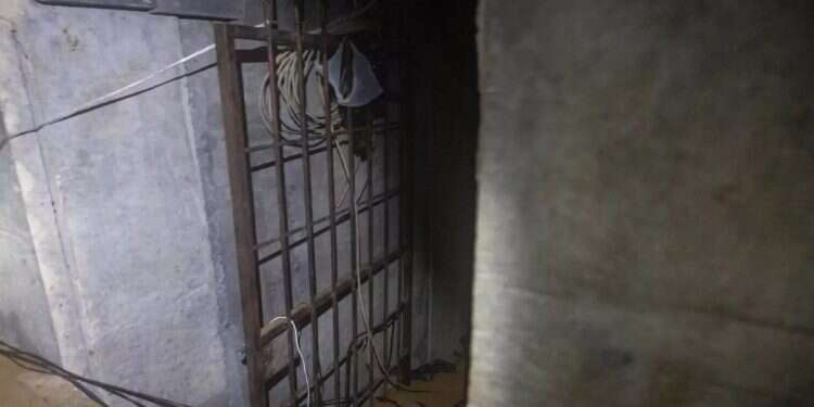 Horrors of captivity: 'There were five hostages in a cage, you couldn't even stand'