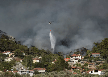 Turkish trucker fights wildfire with milk tanker