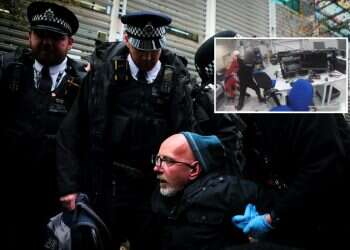 Pro-Palestinian activist accused of fracturing officer's spine with sledgehammer