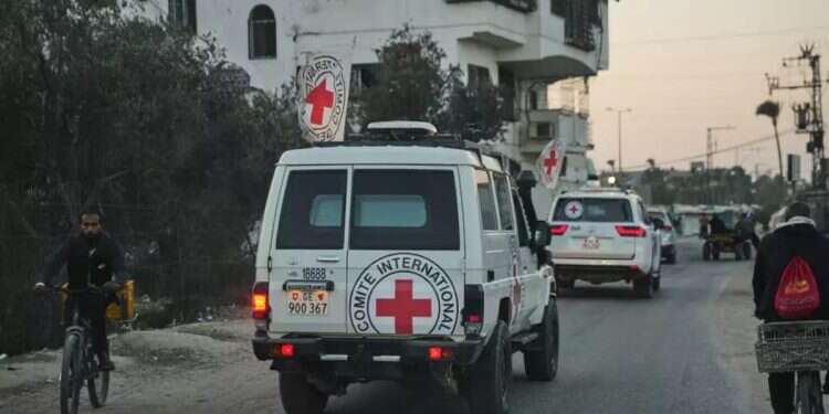 Red Cross vehicles in the Gaza Strip. Photo: AP Report: Talks to move Hamas terrorists through Yellow Line in Red Cross vehicles