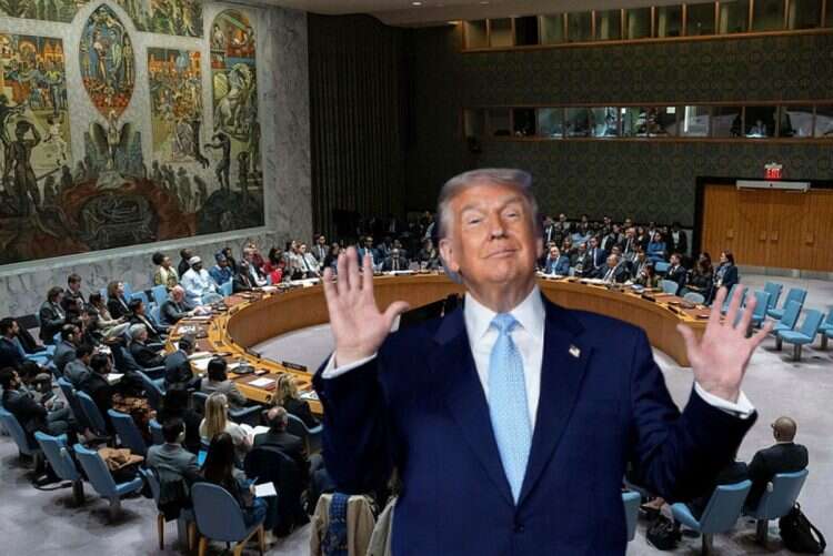 Donald Trump against the backdrop of the Security Council