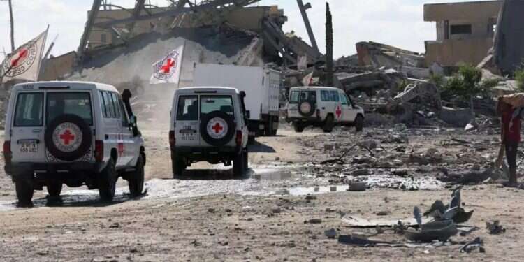 A Red Cross team conducted searches in the southern Gaza Strip on Saturday morning (archive). Photo: Reuters Israel expects located deceased hostage to be Lt. Hadar Goldin