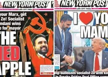 US stunned by Trump-Mamdani 'bromance'