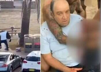 The hero is a Bondi Beach stall owner named Ahmad Al-Ahmad Local Muslim identified as hero who disarmed Sydney attacker