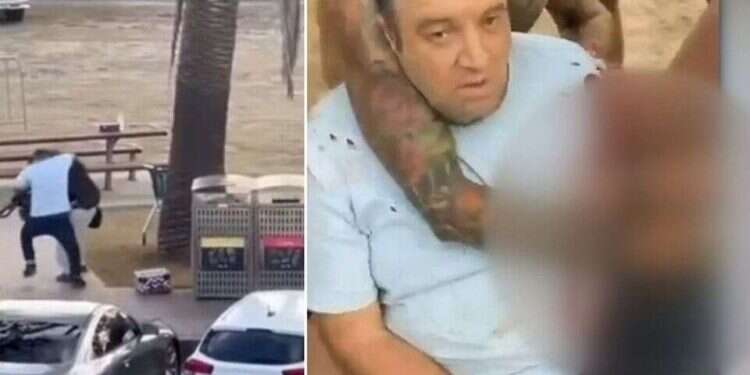 The hero is a Bondi Beach stall owner named Ahmad Al-Ahmad Local Muslim identified as hero who disarmed Sydney attacker