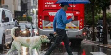 Storm Byron, Tel Aviv, on December 11, 2025 Storm Byron lashes: 1 dead, tree injures girls amid extensive flooding