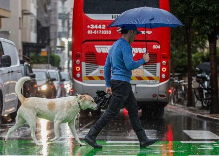 Storm Byron, Tel Aviv, on December 11, 2025 Storm Byron lashes: Man found dead in Netanya, flooding reported