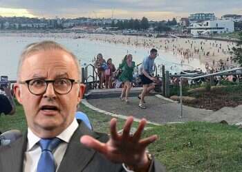This screen grab of UGC video taken on December 14, 2025 and received courtesy of Mike Ortiz shows beach-goers fleeing Bondi Beach after gunmen opened fire, in Sydney on December 14, 2025 (foreground: PM Albaneses Australian PM says attack was on every Australian'; explosives found at scene