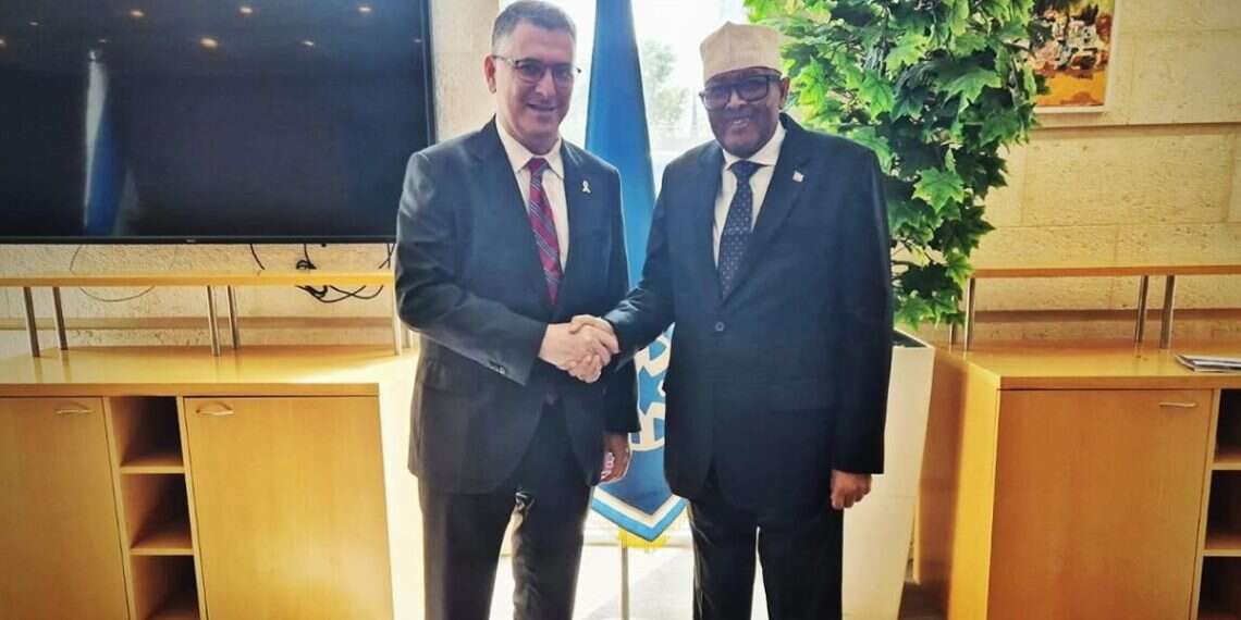 Israeli military bases in Somaliland? Gov't says ties 'purely diplomatic'