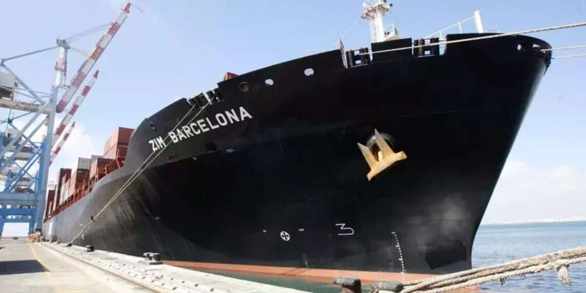A ZIM vessel sails in Haifa Bay. Photo: Michel Dot Com Inside ZIM's mega-sale