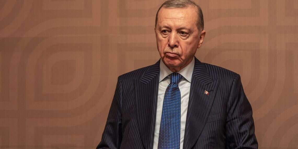 Turkey's President Recep Tayyip Erdogan Is Turkey preparing for the day after the Ayatollah regime?