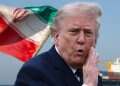 Donald Trump. Photo: AFP Donald Trump