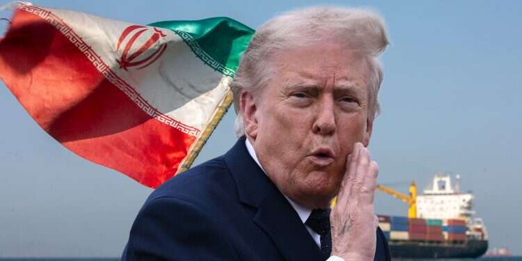 Donald Trump. Photo: AFP Donald Trump