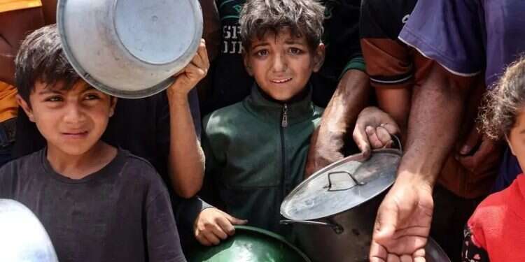 Israeli Embassy in US refutes 'Gaza hunger' campaign