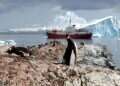 Antarctic bacteria may hold key to new melanoma treatment