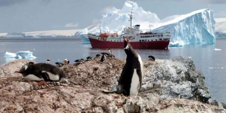 Antarctica. Photo AFP Antarctic bacteria may hold key to new melanoma treatment