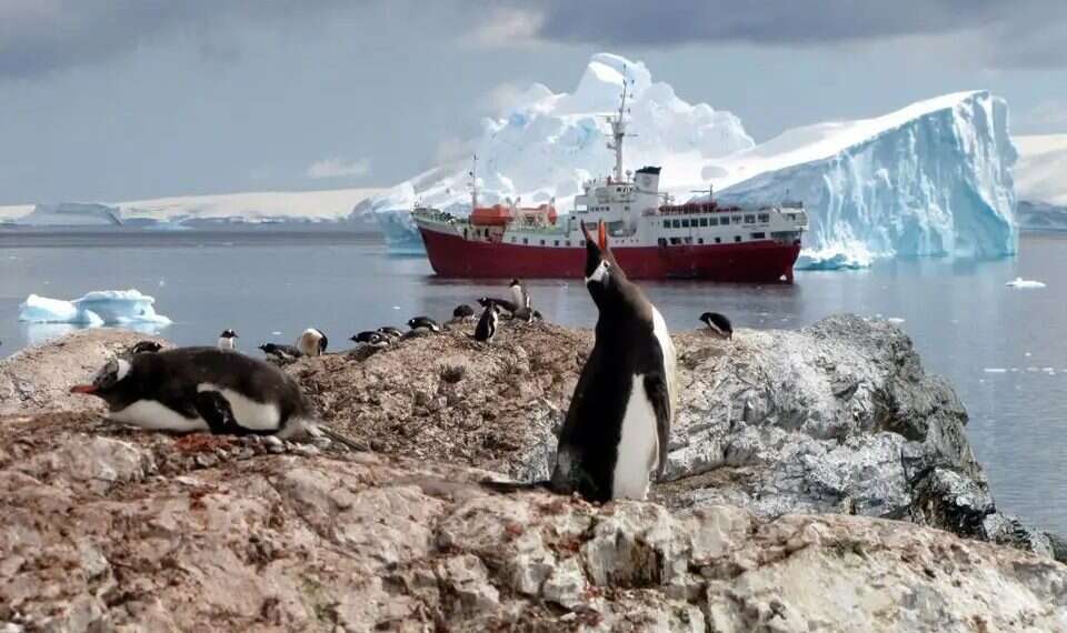 Antarctica. Photo AFP Antarctic bacteria may hold key to new melanoma treatment