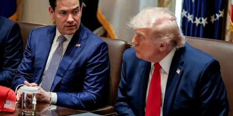 US Secretary of State Marco Rubio alongside US President Donald Trump. Photo: Reuters US Secretary of State Marco Rubio alongside US President Donald Trump