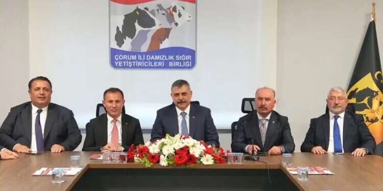 Turkish minister's Ottoman fantasy: Jerusalem will be ours again