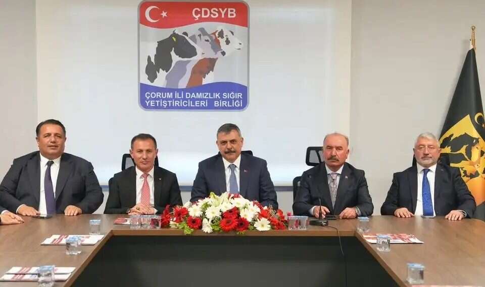 Turkish minister's Ottoman fantasy: Jerusalem will be ours again