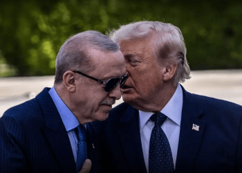 Report: Erdogan offers Trump a regional deal that could complicate matters for Israel