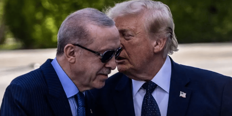 Report: Erdogan offers Trump a regional deal that could complicate matters for Israel
