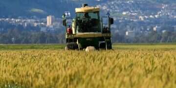 Dramatic EU proposal against Israel: 'Real economic damage'