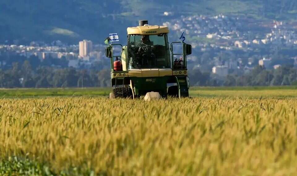 Wheat harvest in the Hula Valley. The measures could also affect exports from within the Green Line. Photo: Ayal Margolin Dramatic EU proposal against Israel: 'Real economic damage'