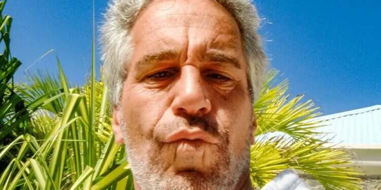 Jeffrey Epstein in an image from documents released in December 2025. Photo: US Justice Department/Handout via Reuters Jeffrey Epstein