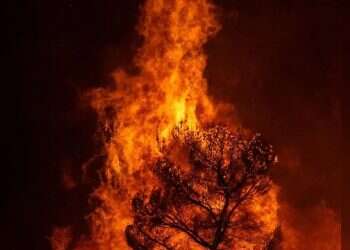 Wildfires rage across Europe. Photo: Reuters Europe burns as firefighters reach breaking point